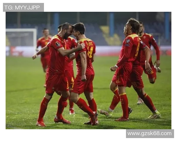 新西兰与威尔士激战正酣谁将赢得这场精彩对决 新西兰与威尔士激战正酣谁将赢得这场精彩对决